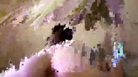 Emily online show from 09.26.25