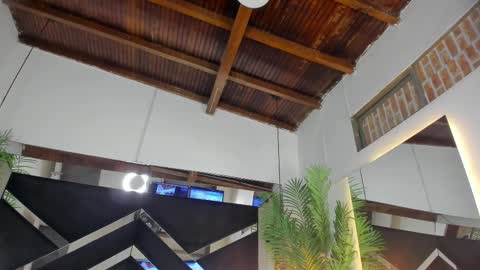 Emily  online show from 01.17.26