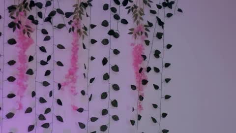 Snapshot of emily_montoya chatting on 01.30.25 Emily online show from 01.30.25