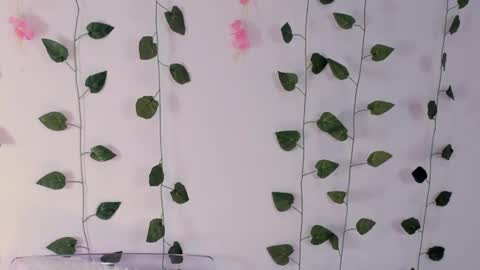 Snapshot of emily_montoya chatting on 02.02.25 Emily online show from 02.02.25