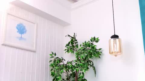 Emily online show from 03.03.26