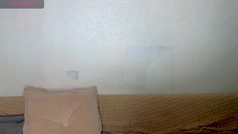 Emily wish-list  online show from 02.27.26