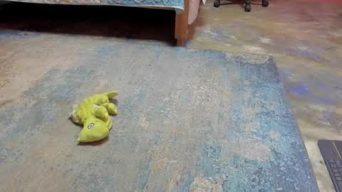 whises lits        online show from 02.21.25