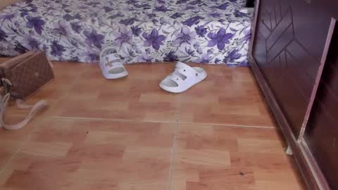 whises lits        online show from 10.23.25