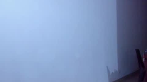 whises lits        online show from 12.22.25