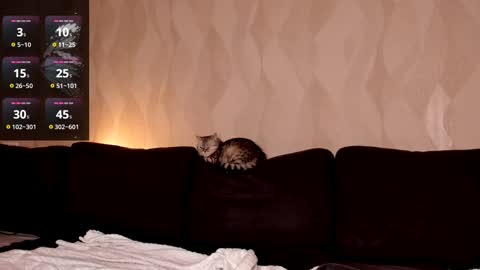 Snapshot of emmavictori chatting on 03.02.25 Shaiya online show from 03.02.25