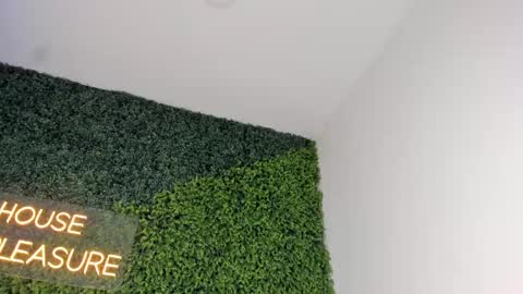 Snapshot of emmiily_z chatting on 02.24.25 Emmiily online show from 02.24.25