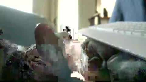 encormoi online show from 11.11.25