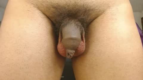 Snapshot of engiel_phoenix chatting on 01.31.25 Engiel phoenix instagram engiel 13 online show from 01.31.25