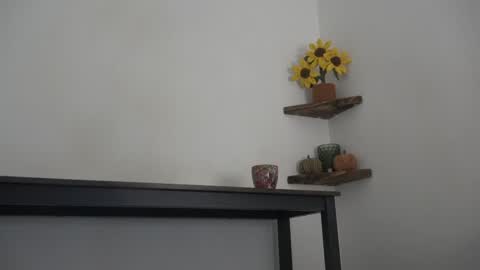 Snapshot of english_rose__ chatting on 10.11.25 Rosie online show from 10.11.25