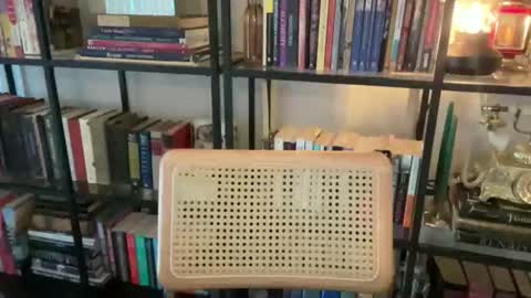 Snapshot of entreporneur chatting on 10.29.25 FOLLOW JOIN MY CULT online show from 10.29.25