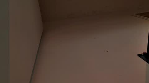 Snapshot of enzo_steel chatting on 11.03.25 enzo_steel online show from 11.03.25