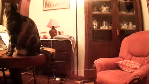 Snapshot of ericstephcam31 chatting on 11.26.25 Steph et Eric online show from 11.26.25