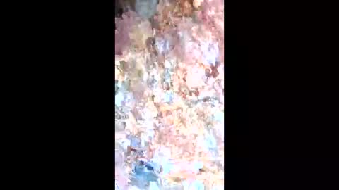 esteralcantara online show from 02.09.26