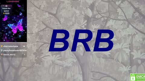 Snapshot of eva__summers chatting on 01.19.25 Eva online show from 01.19.25