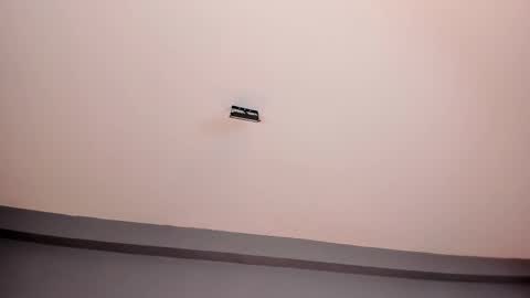 EVA  online show from 02.25.25