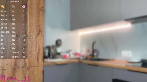 Snapshot of eva_j chatting on 11.08.25 Free toy control in pvt online show from 11.08.25