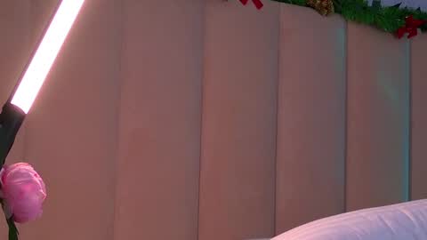 Snapshot of eva_natsumi chatting on 12.31.24 Eva online show from 12.31.24