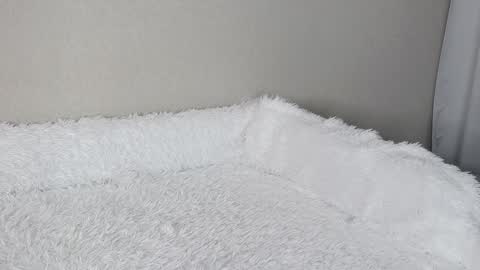 eva varnerr online show from 02.03.25