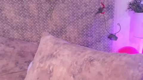 Evan Smitt online show from 02.15.25