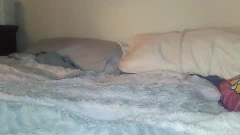 evangeline69xxx online show from 02.20.26