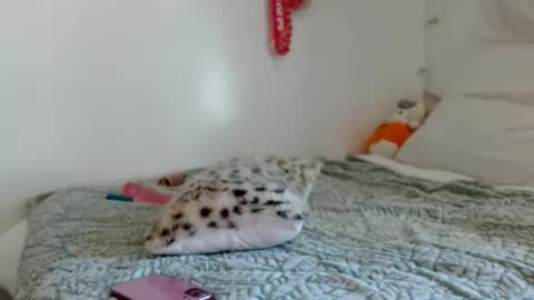 Snapshot of eveexxclusive chatting on 10.17.25 eveexxclusive online show from 10.17.25