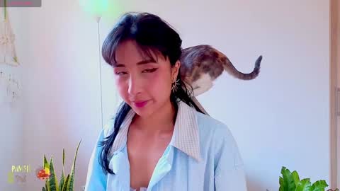 Im Eve or Chelle Next Stream 191224  online show from 02.04.25