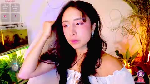 Im Eve or Chelle Next Stream 191224  online show from 02.21.26