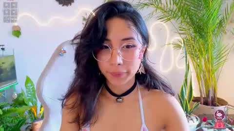 Im Eve or Chelle Next Stream 191224  online show from 03.11.26