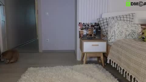 evi_woow online show from 02.22.25