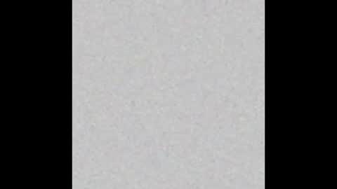 David online show from 03.29.26