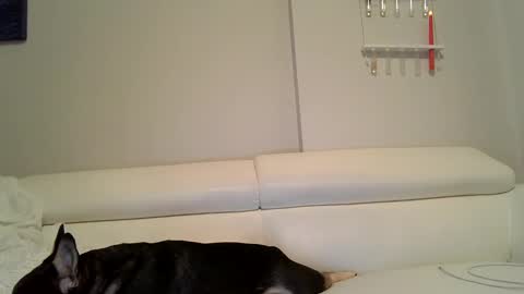 Badblondebunny online show from 12.12.24