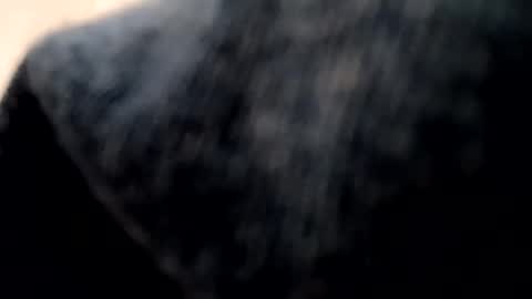 Evocation online show from 01.07.25