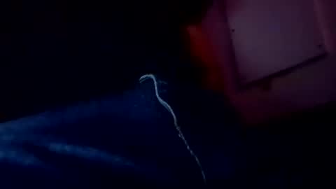 Evocation online show from 02.03.25