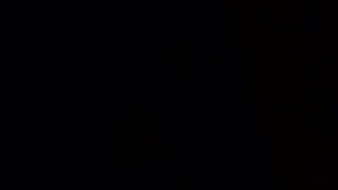 Evocation online show from 02.11.25