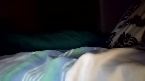 Evocation online show from 01.06.26