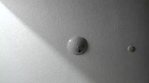 EV Parrish online show from 01.20.25