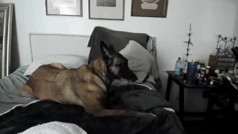 EV Parrish online show from 02.02.25