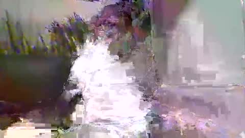 Snapshot of ewaldwillems99 chatting on 02.09.26 Naaktloper online show from 02.09.26