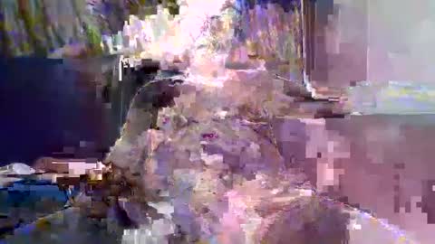 Snapshot of ewaldwillems99 chatting on 02.10.26 Naaktloper online show from 02.10.26