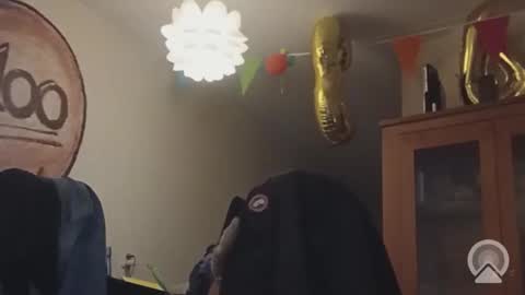 sissyoldernl online show from 03.16.26