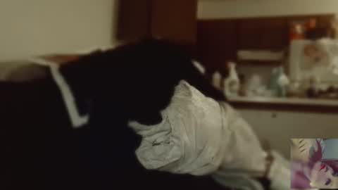 Exoticlexxii online show from 09.09.25