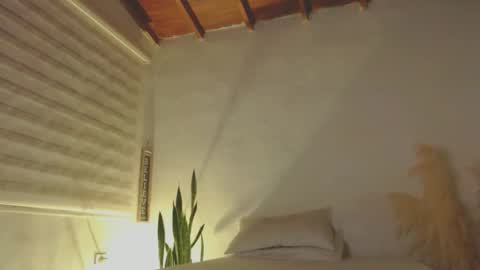 -  A N D E R online show from 01.08.25