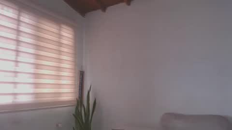 -  A N D E R online show from 02.27.25