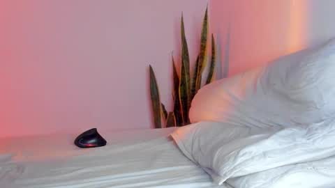 -  A N D E R online show from 11.09.25