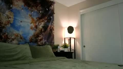 Snapshot of faerienugs chatting on 12.11.24 Faerie 3 online show from 12.11.24