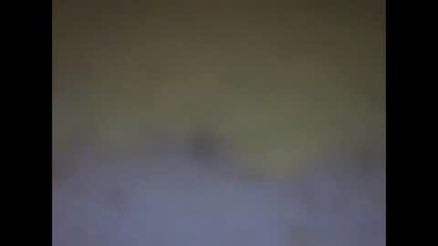 fafafa923 online show from 01.12.25