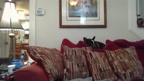 fairmount31 online show from 11.01.25