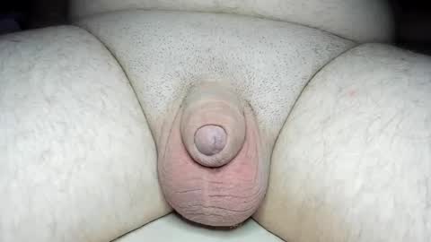 Snapshot of fatmanscock chatting on 01.28.25 Fatmanscock online show from 01.28.25