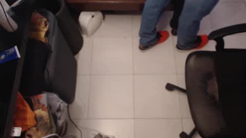 FC91 online show from 03.04.26